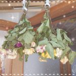 昨日と今日～☆