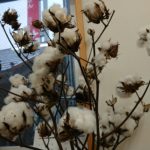 ご無沙汰過ぎるご無沙汰です☆