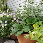 お元気ですか～！？