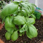 作ってみました☆